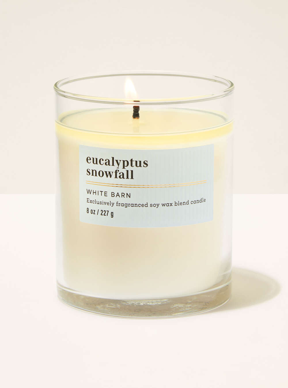 Eucalyptus Snowfall Single Wick Candle