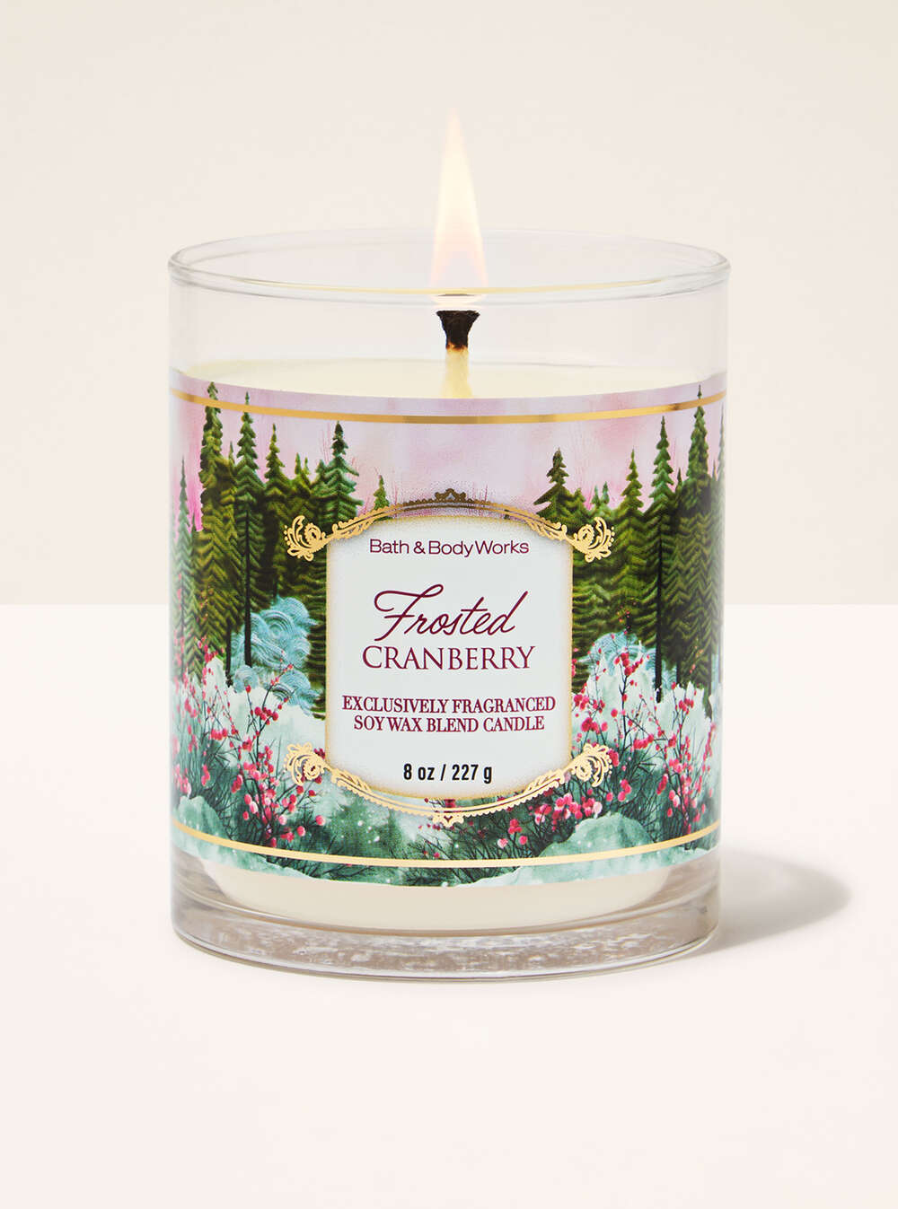 Frosted Cranberry Single Wick Candle