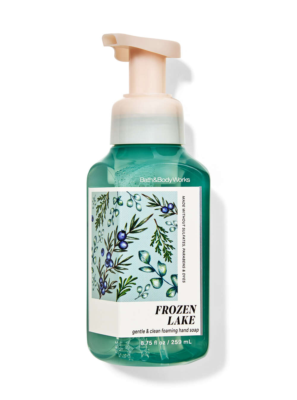 Frozen Lake Gentle & Clean Foaming Hand Soap