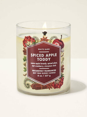 Spiced Apple Toddy Single Wick Candle