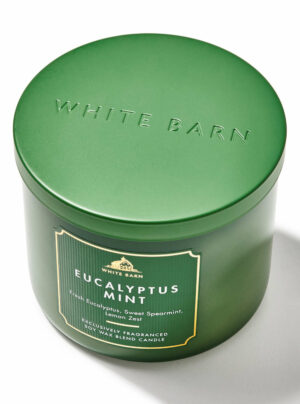 Eucalyptus Mint 3-Wick Candle