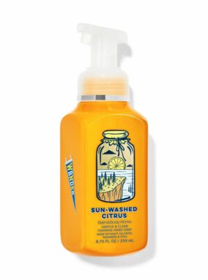 Sun-Washed Citrus Gentle & Clean Foaming Hand Soap