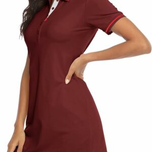 Activewear Athletic Polo Golf Dress TH25